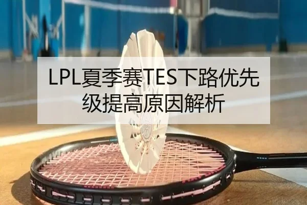 LPL夏季赛TES下路优先级提高原因解析